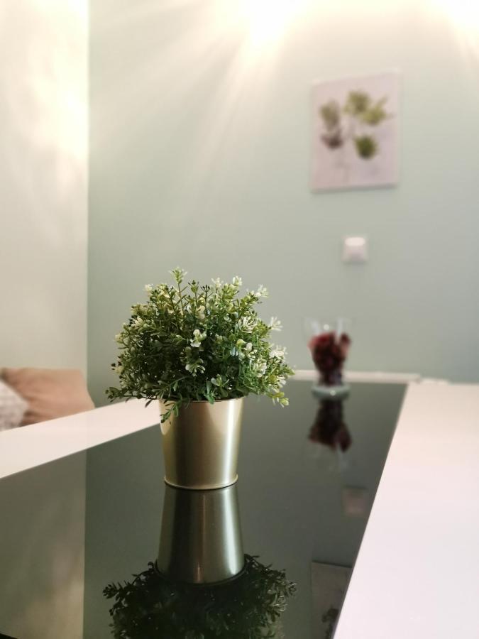 Maglonia Apartment วรอตซวาฟ ภายนอก รูปภาพ
